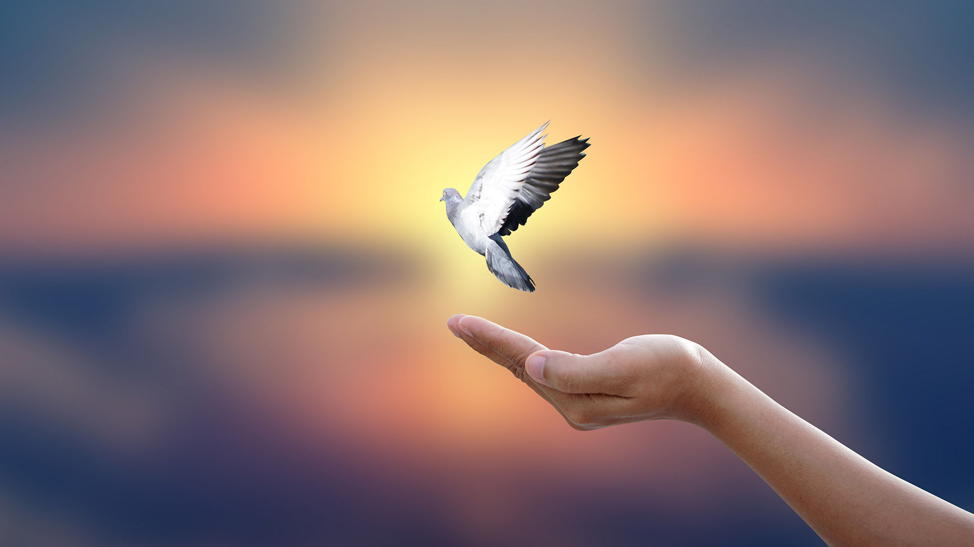 Clinical Hypnosis & Reiki Clinic